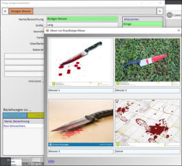 Zu jeder Karteikarte kann ein passendes Bilderalbum angelegt werden